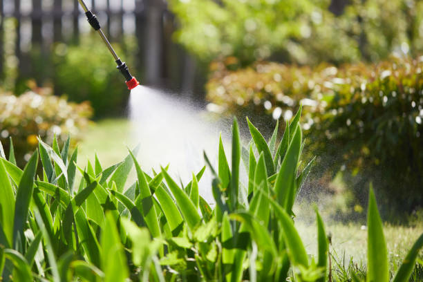 Tamper-Resistant Bait Stations for Rodents in Walbridge
