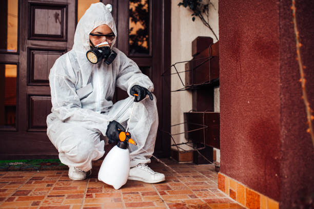 Attic and Crawl Space Rodent Treatment in Walbridge